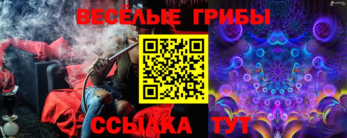 Псилоцибиновые грибы Psilocybine cubensis Можга