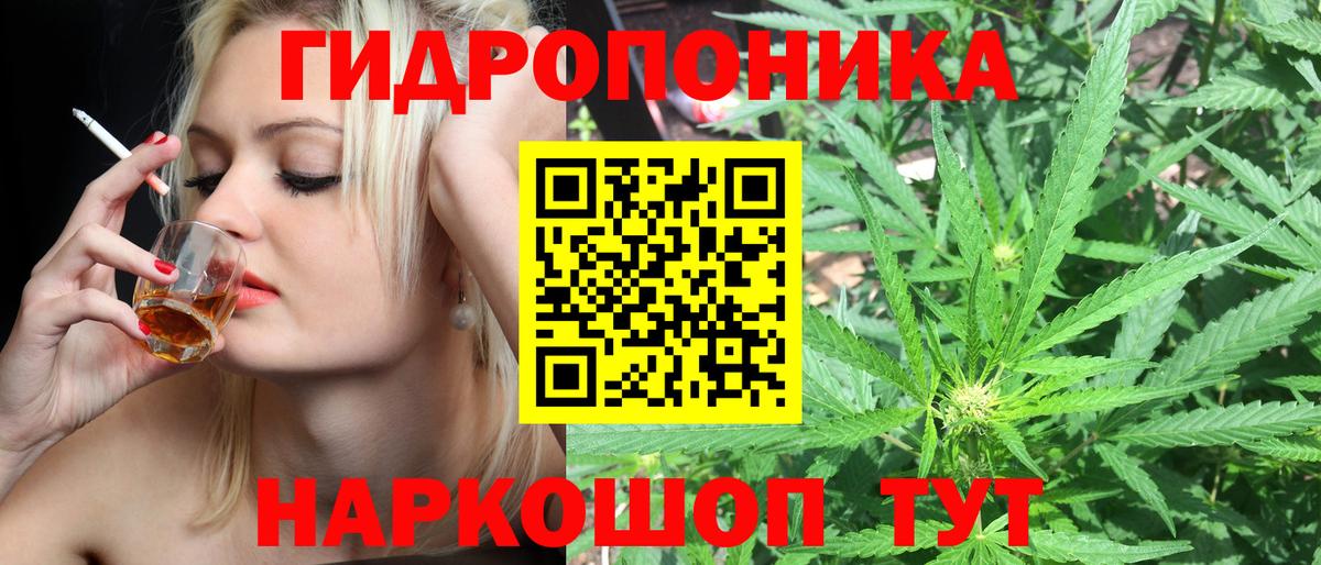 Можга  Бошки Шишки OG Kush  Каннабис план  Вход с VPN  Бошки Шишки ГИДРОПОН 